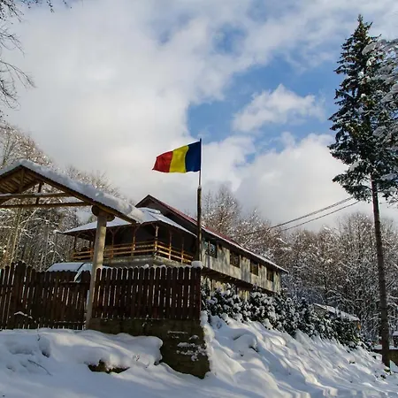Valea Bradului *
