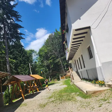 Valea Bradului Campsite