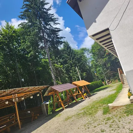 Valea Bradului Campsite *